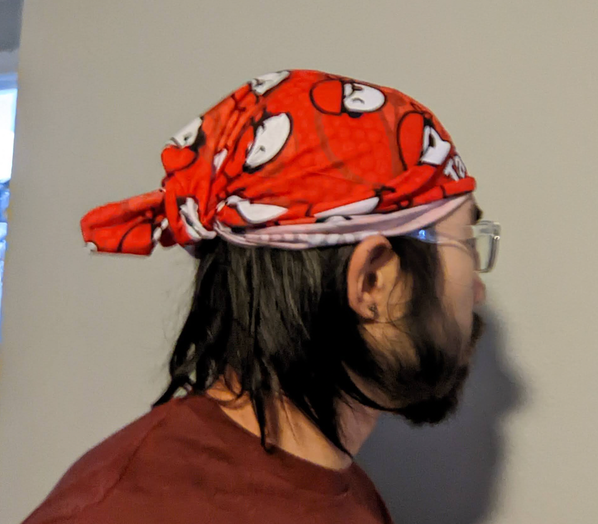 Tampa Devs Bandanas