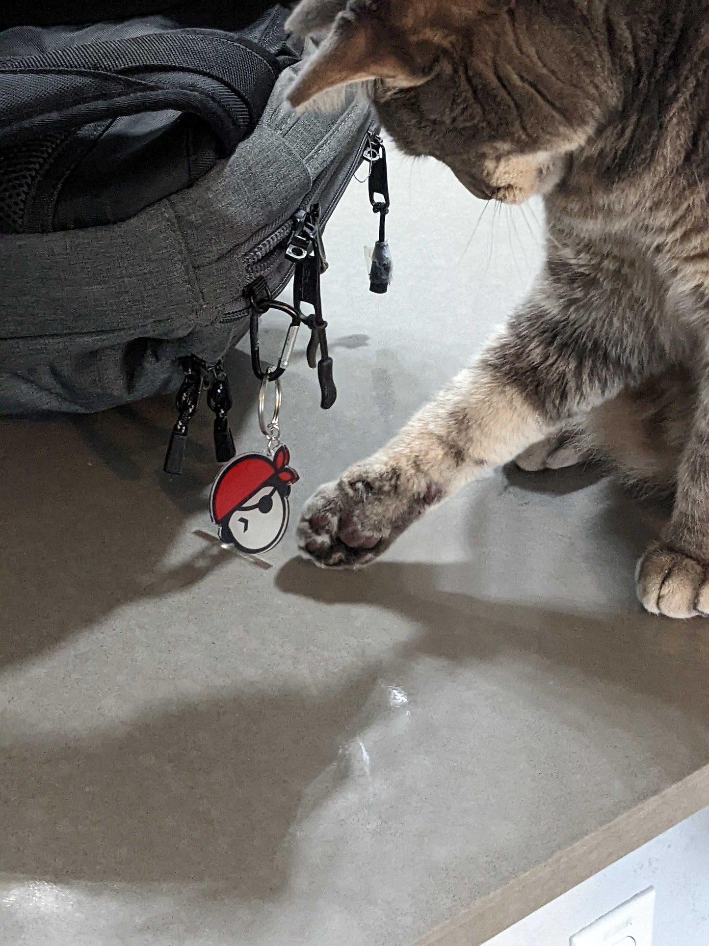 Tampa Devs Keychain